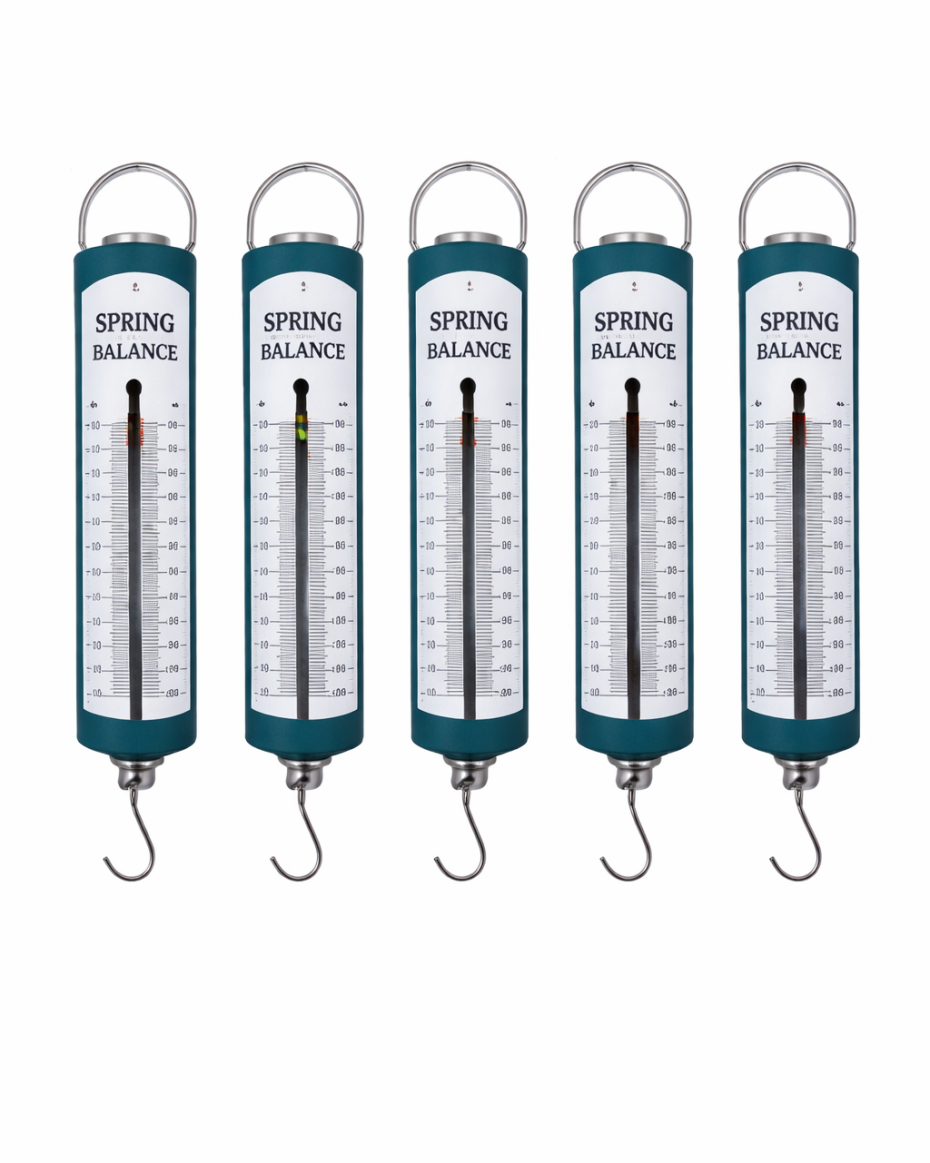 Spring Balance